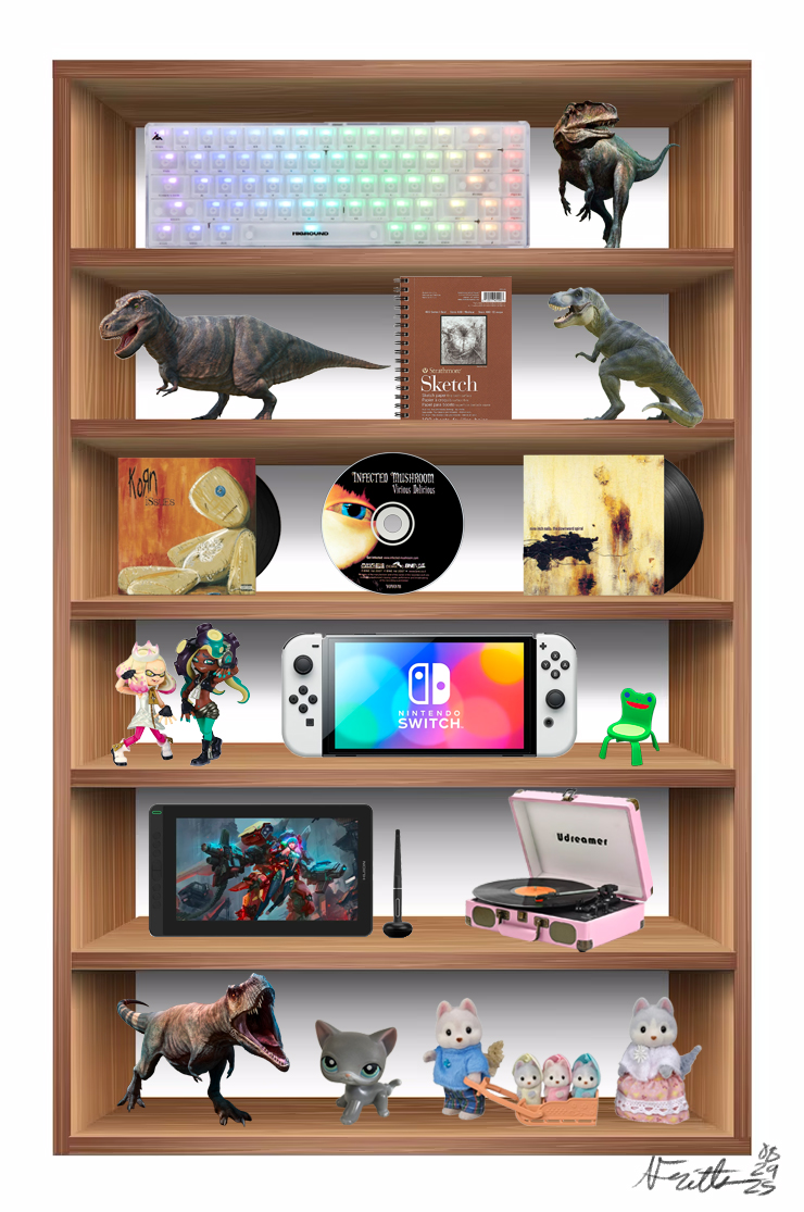 digital media shelf assignment
